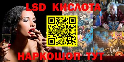 a pvp Кингисепп