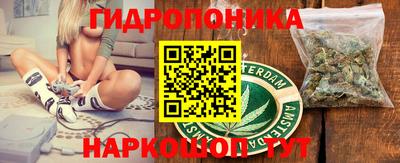 a pvp Кингисепп