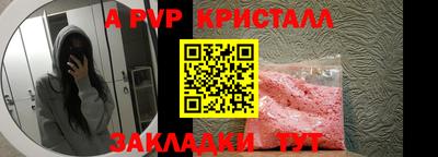 a pvp Кингисепп