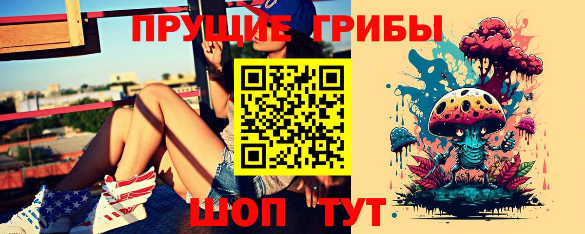Краснодар  Псилоцибиновые грибы Psilocybine cubensis  Вход с VPN 